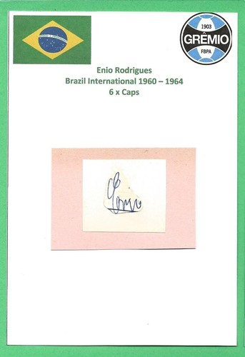 Enio rodrigues brasile int - brasile,